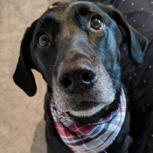 Meet your Posher, Stefanie